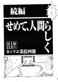 (C50) [Moriman Shouten (Various)] Katze 14 (Neon Genesis Evangelion)