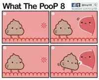 What the PooP [On Going]