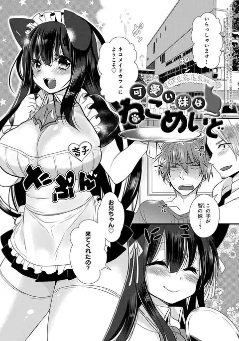 Ojousama ha H ga Shitai