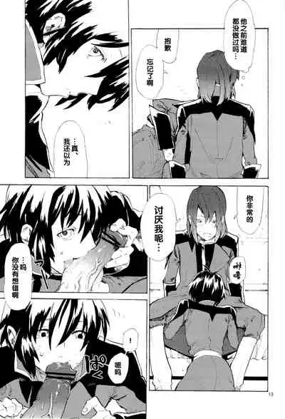 [NEO-de (Natsuzaka)] Tadashii Hito (Gundam Seed Destiny) [Chinese]