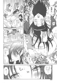 COMIC 0EX Vol. 24 2009-12