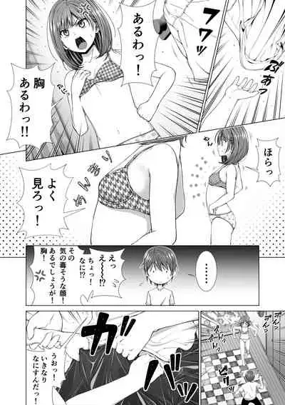 Houkei o Baka ni Shita Ane o Yatte Shimau Hanashi