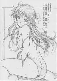 (SC17) [SILMARIL (Ayakaze Ryuushou)] Hybrid-Child 14 Plus (To Heart, White Album)