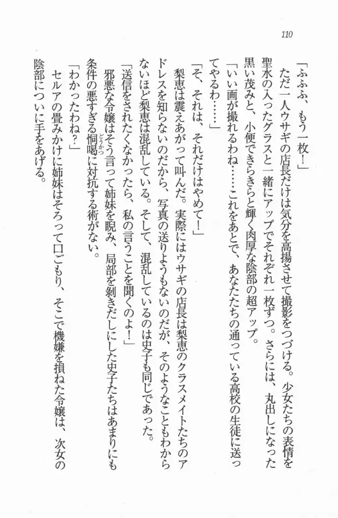 メイド喫茶 猫の隠れ家