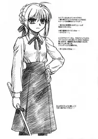 [MEKONGDELTA & DELTAFORCE (Route39, Zenki)] Operation TIGER!! (Fate/stay night)