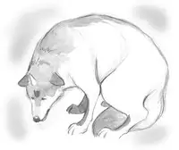 [pink-noise (Mizuiro Megane)] Holy&Beast ~Seijo to Ookami~ (Queen's Blade)