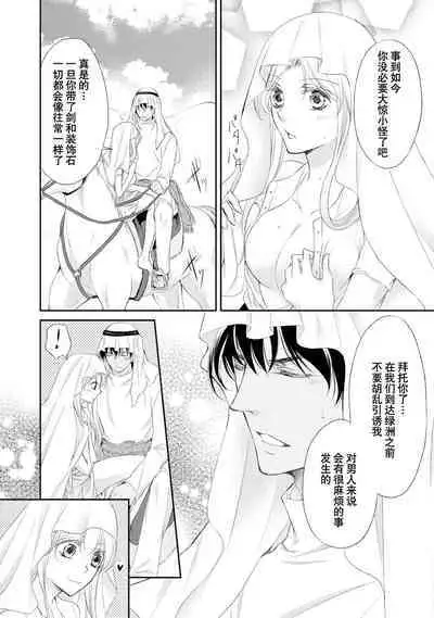 sabaku no ōji to kaizoku hime | 沙漠王子与海盗公主