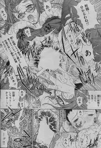 COMIC Shitsurakuten 2013-07
