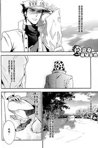 [JOJO][JC]Stelle[CN]