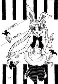 (C45) [UROBOROS (Various)] PARASELENE (Bishoujo Senshi Sailor Moon)