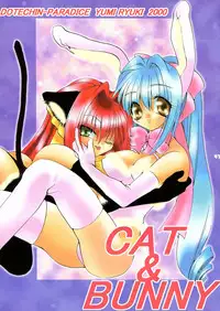 (C66) [Dotechin Tengoku (Ryuuki Yumi)] PSYCHO ROCK -ver.[C]-