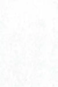 (C60) [Dennougiwa (Takano Iori)] Kokoro no Mukou ni... (Digimon Tamers)