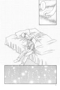 (C68) [Yonakiya (MIYA)] Kinshijaku