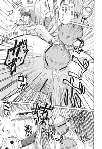 (C70) [Mirabilien Fabrik (Various)] Shoujo Yousai Rengashuu Touhou Inreika (Touhou Project)