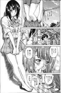 COMIC Penguin Club 2011-11