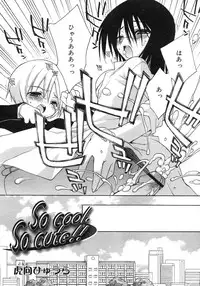 Comic Rin Vol. 29 [2007-05]