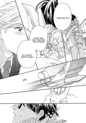 The Daydreamer Falls in Love