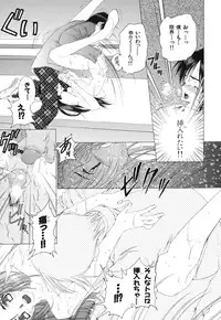 [Sensouji Kinoto] Devotee