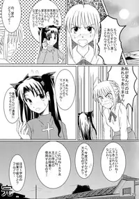 (C71) [Holm Viking (John.T.H.)] Saber Of Sanity (Fate/stay night)