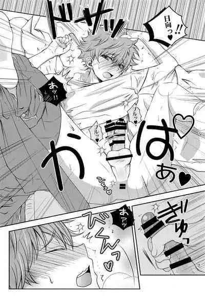 (SUPER COMIC CITY 23) [puniiyu] Hinata to Koi ni Ochiru Made— (Haikyuu!!)