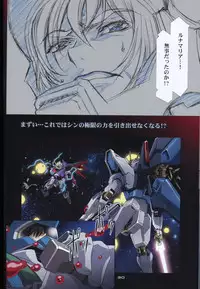 (C73) [HenReiKai (Kawarajima Koh)] SEED ANOTHER CENTURY D.E 5 (Gundam SEED)