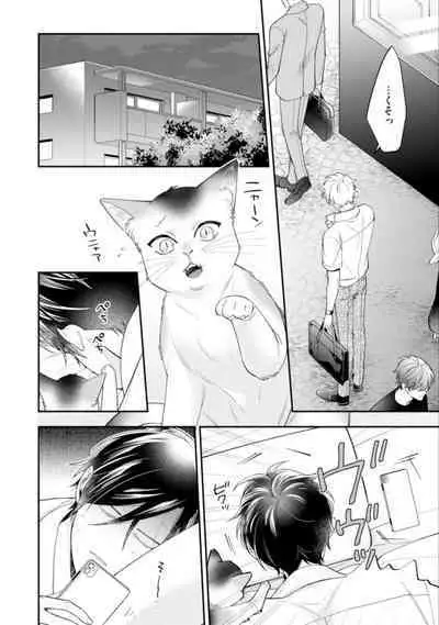 High Spec Danshi ni Natsukareteimasu