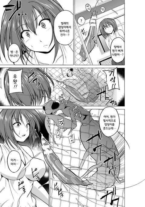 Mushi Asobi | 벌레유희