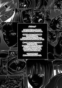 (C73) [Sarurururu (Doru Riheko)] CLAREMOE (Claymore)