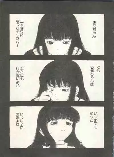 Shin Bishoujo Shoukougun 4 Houou hen