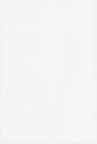 [Umetani Kenji] Tama² Fortune