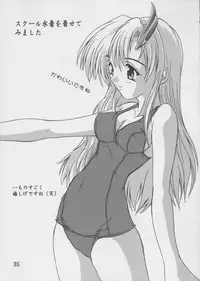 (C67) [Studio Q (Natsuka Q-Ya)] Lacus Soushuuhen Destiny (Gundam Seed)