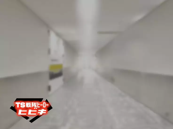 TS Sentai Hero Hibiki