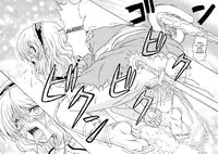 (C75) [Takakuya (Takaku Toshihiko)] Touhou Youjo Ranbu 9 (Touhou Project) [English] [desudesu]