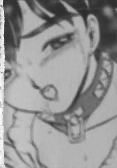 Inetsu no Mesu-tachi