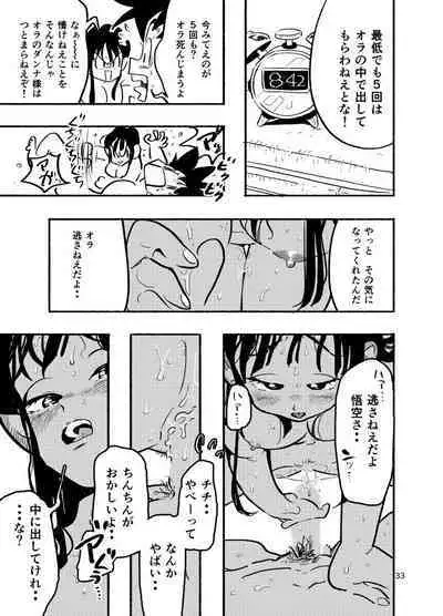 Dragon Ball Fanbook GokuxChihci