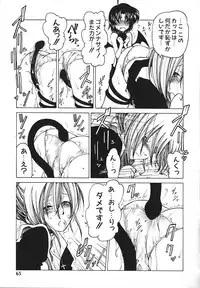 [Benjamin] Stray Sheep