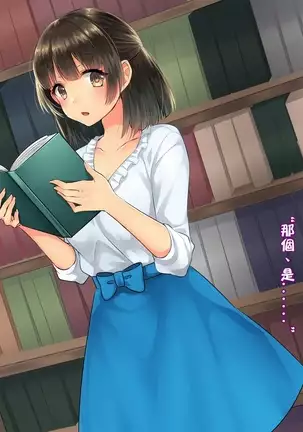 Adult Goods Tanchiki ~Machi no Inran Onna o Research Seyo~