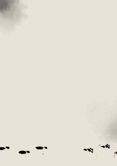 [ABBB] The Tale of Fox Hill [English]