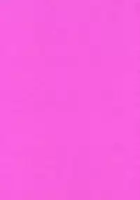 [Ozaki Miray] 365 SUPER COLOR