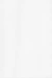 [Umetani Kenji] Tama² Fortune