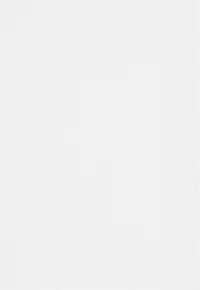 (C94) [Yakousei Fanclub (Detritus)] Ookii no ga Osuki? (Fate/Grand Order)