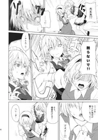 (Reitaisai 10) [Tatakai no Kiseki (Senyuu)] Hajimete no Biyaku (Touhou Project)