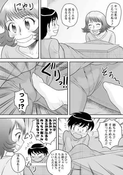 Fudeoroshi Harem Dairankou