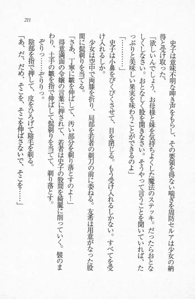 メイド喫茶 猫の隠れ家