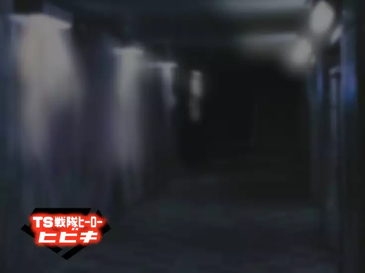 TS Sentai Hero Hibiki