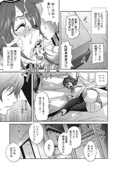 Nyuugyaku no Rudbeckia