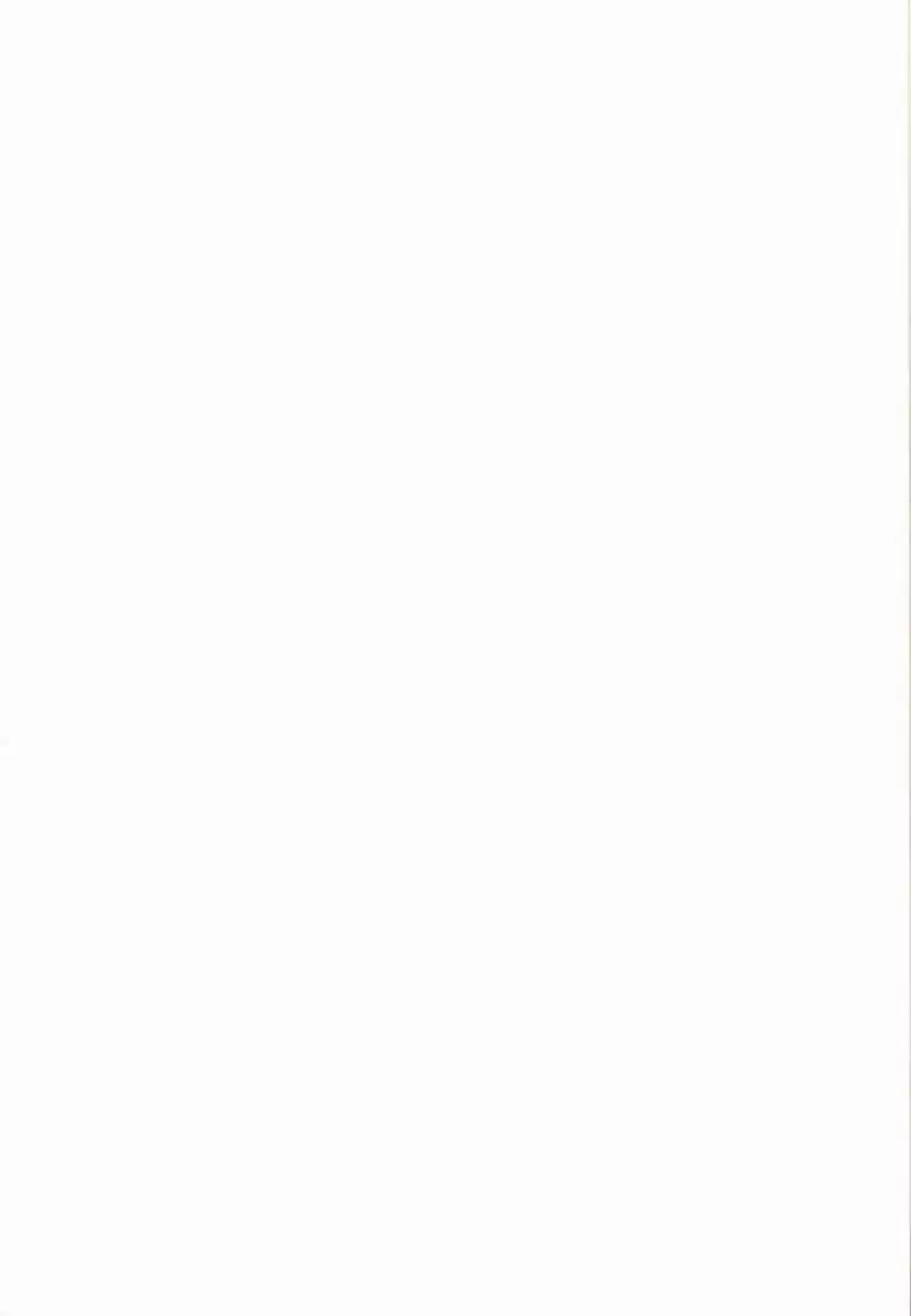 Grandline Chronicle 3 Momo☆Momo