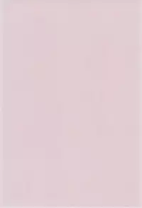 (C59) [Cheese-iri Kamaboko-dou (Mako Cube)] Hikari Mania (Digimon Adventure 02)