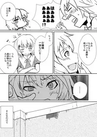 Remilia Scarlet no Hatsujouki /搾