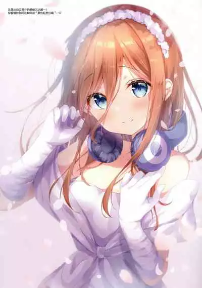 confiture ameusagi illust collection vol. 7